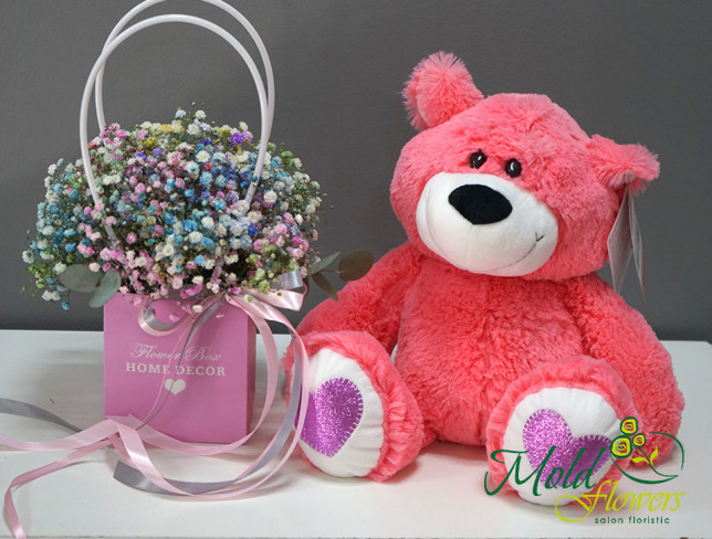 Set: Pink bag with colored gypsophila and Coral Teddy Bear Andriusha, height=45 cm photo